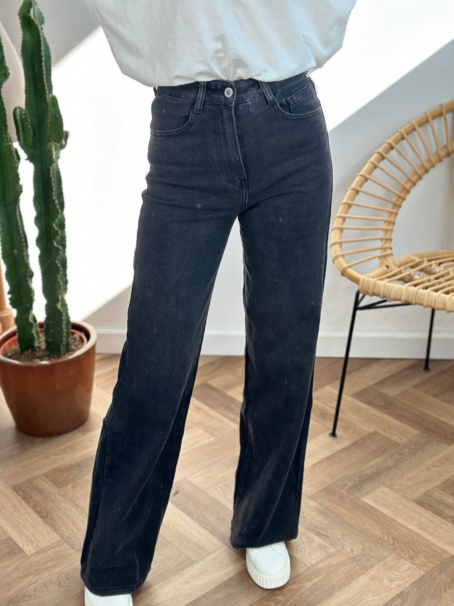 jean WIDE gris