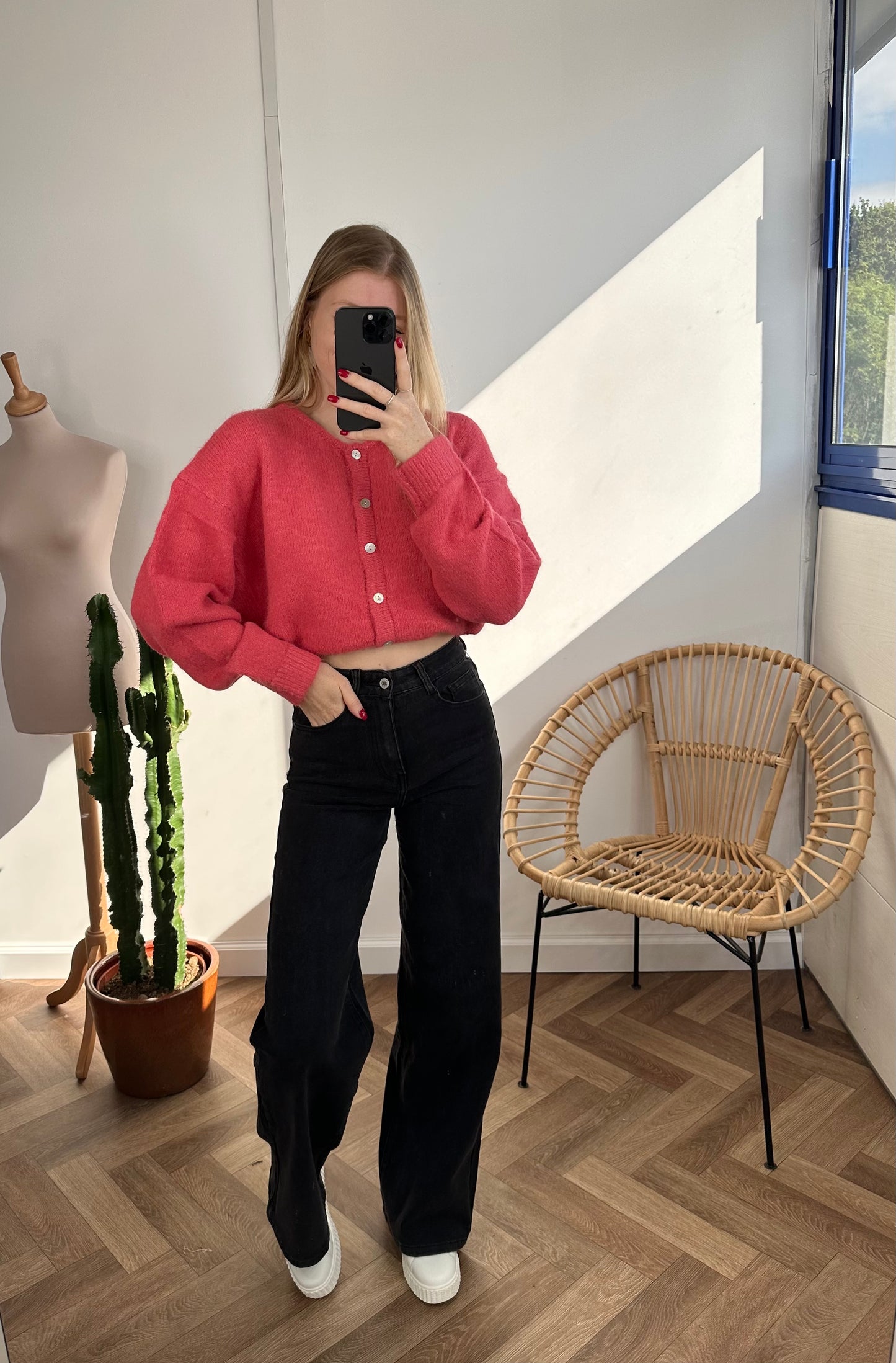 jean WIDE gris