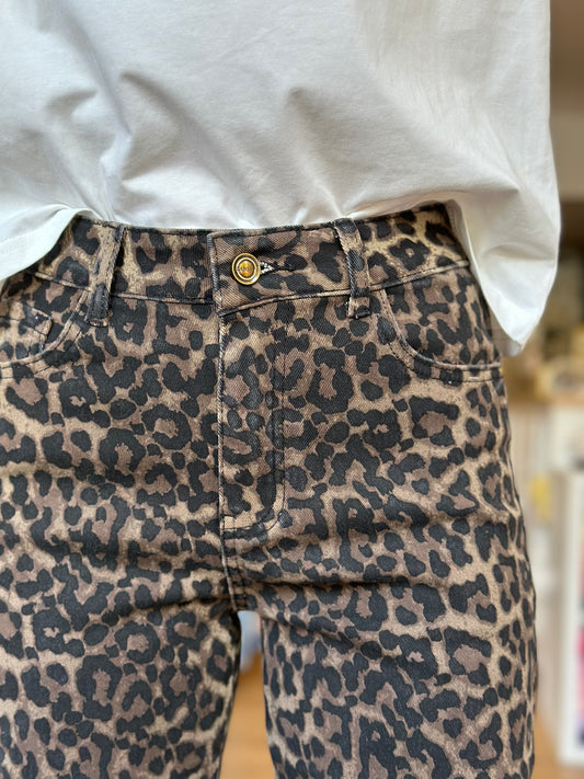 jean leopard