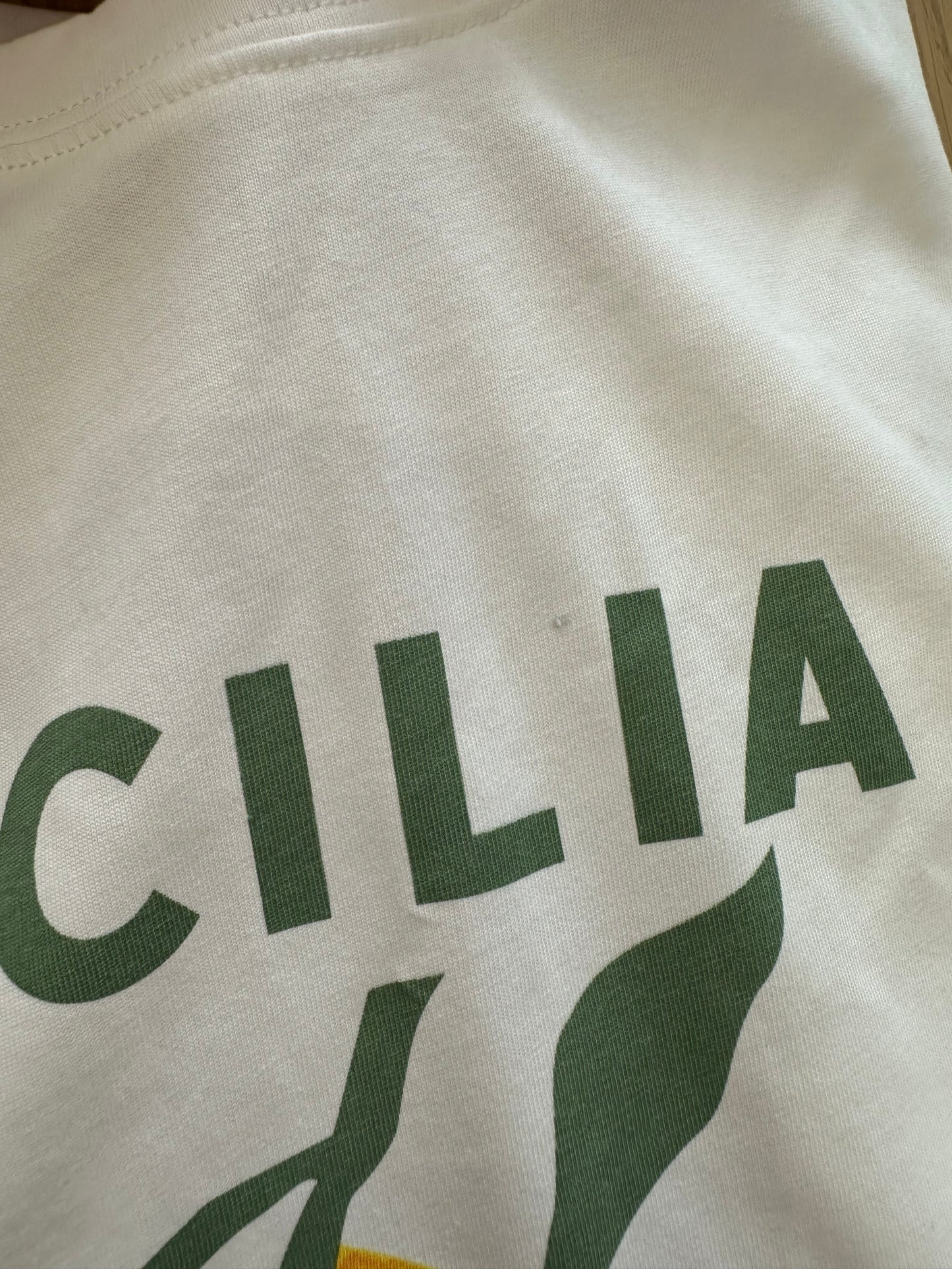 t-shirt (surplus tissu)